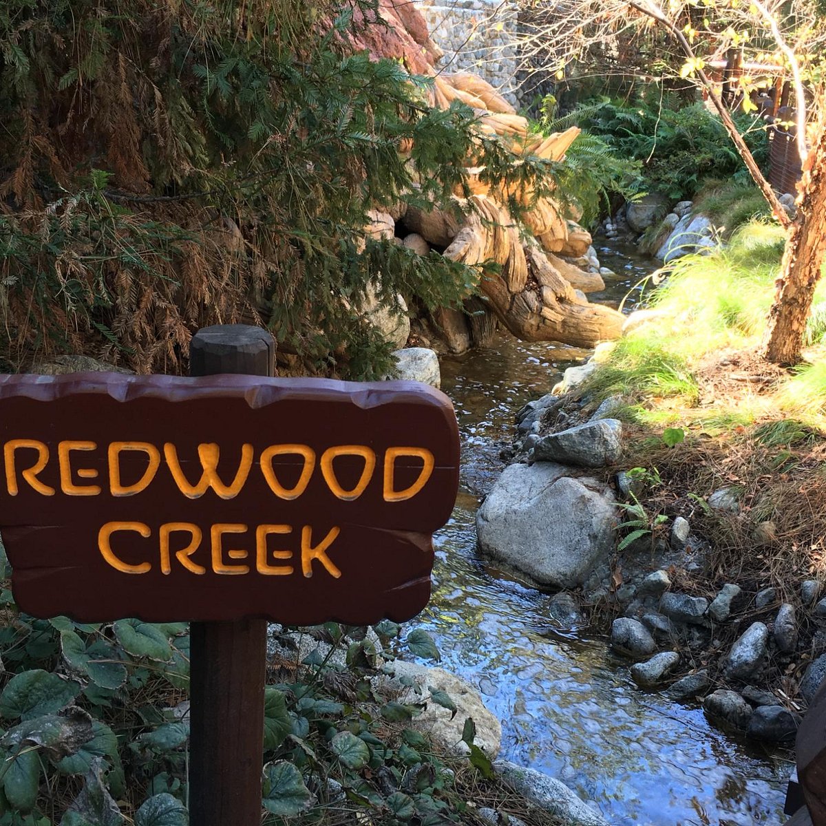 Redwood Creek Challenge Trail (Anaheim) 2023 Lo que se debe saber