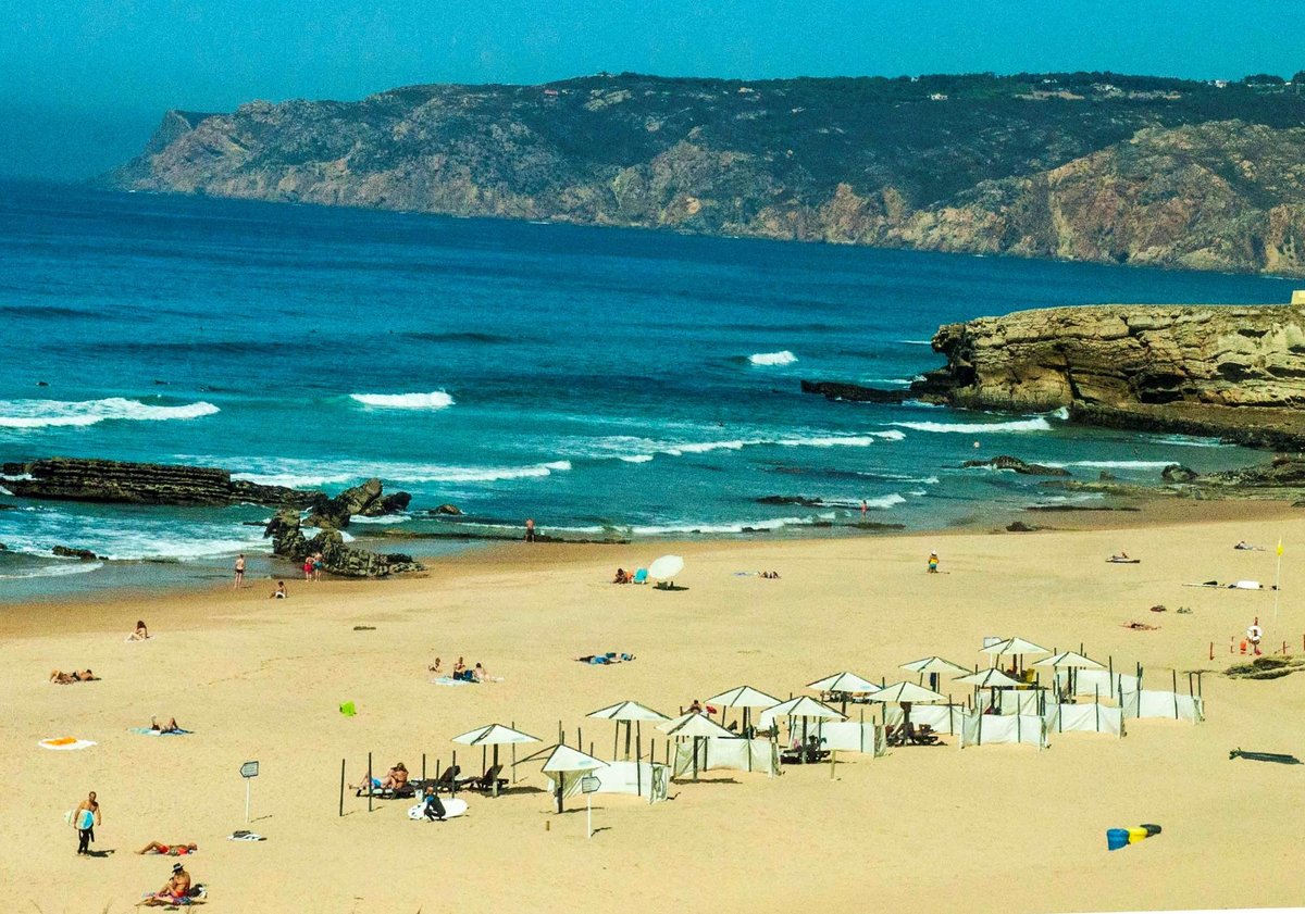 are dogs allowed on beaches in portugal