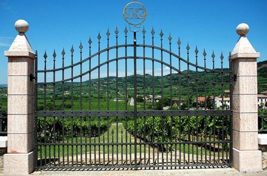 Vigneto Cru Bassanella - Soave Classico