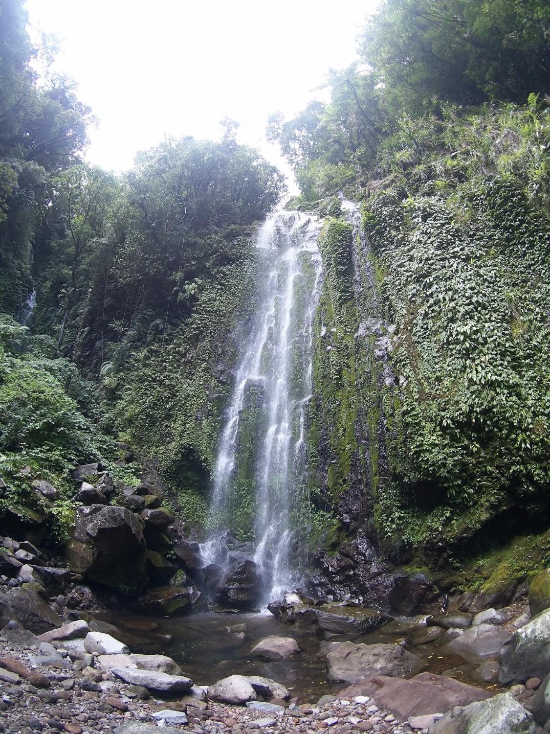 Binangawan Falls - All You Need to Know BEFORE You Go (2024)