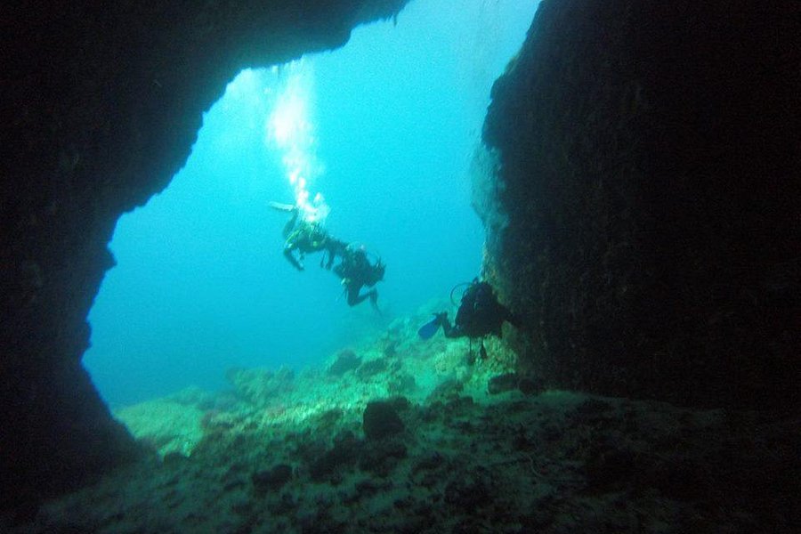 Amphibious Diving Center image
