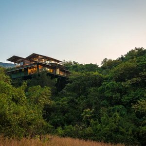 Forest - Exterior