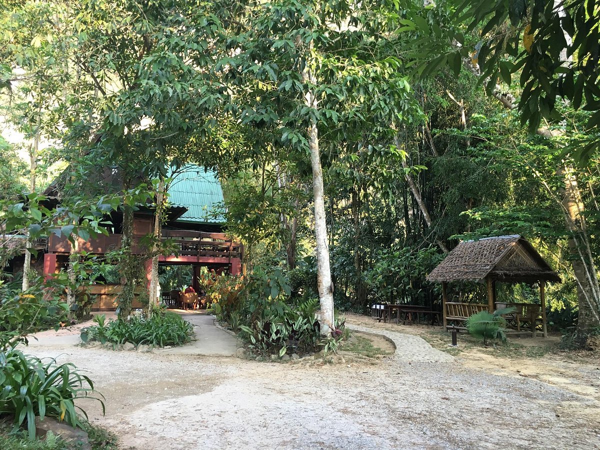 OUR JUNGLE HOUSE (Национальный парк Као-Сок) - отзывы, фото и сравнение цен  - Tripadvisor