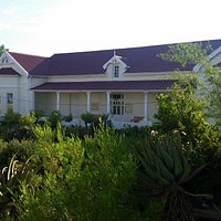 Learn more about Prince Albert here