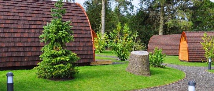 Falcon Forest Glamping Restaurant: Pictures & Reviews - Tripadvisor