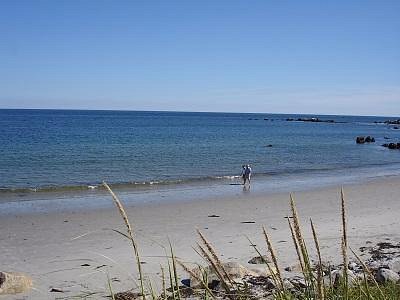 Bayswater Beach Provincial Park - All You Need to Know BEFORE You Go (2024)