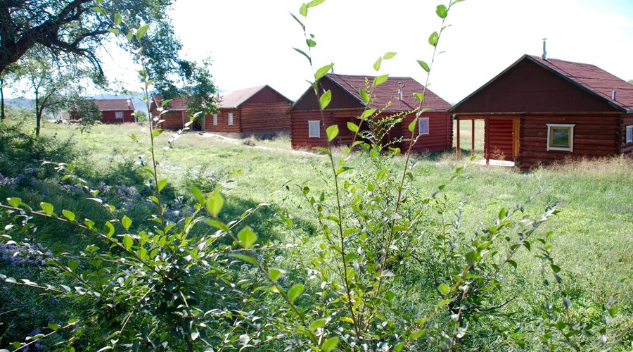 Log cabins with warm shower and flushable toilet.