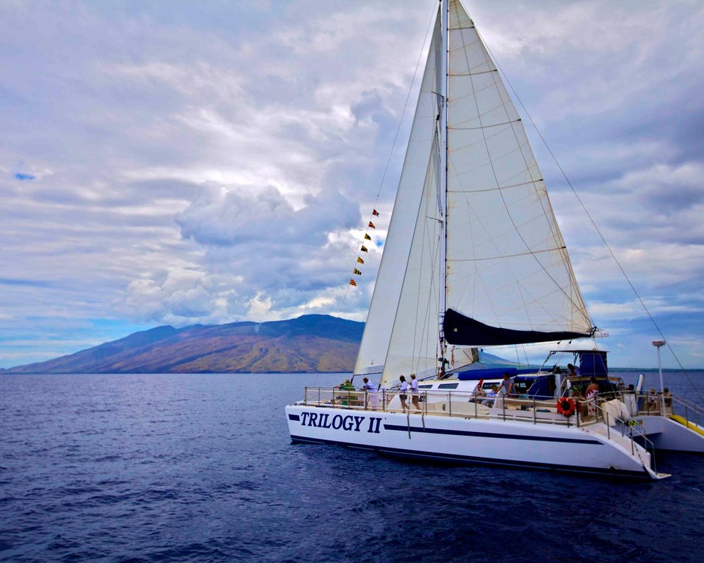 THE 15 BEST Things to Do in Maui (2024) MustSee Attractions