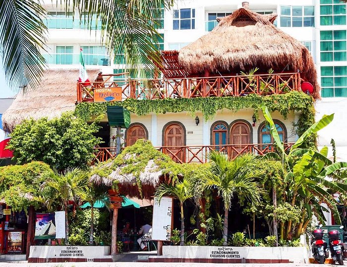 Descubrir 37+ imagen natura cancun zona hotelera