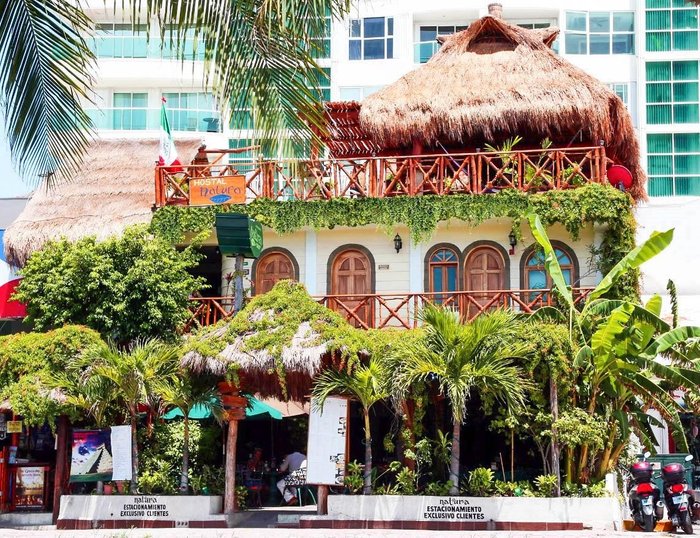 HOSTEL NATURA (Cancún, México): opiniones, comparación de precios