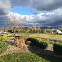 View from the tasting garden