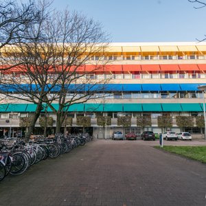 The WOW Hostel Amsterdam