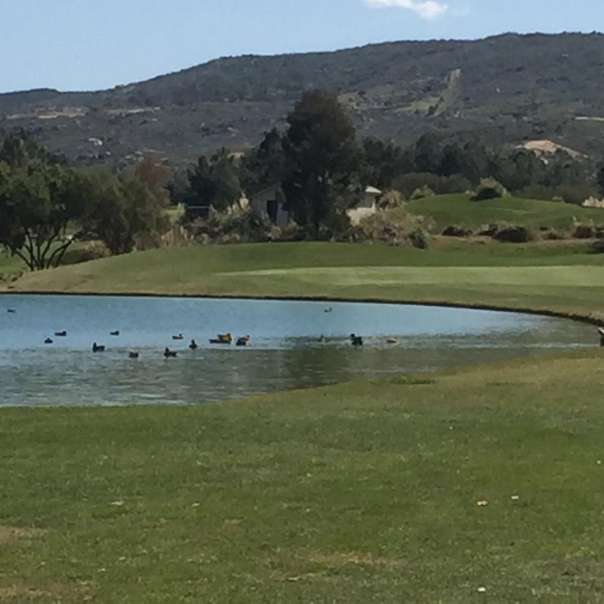 Diamond Valley Golf Club (Hemet) 2022 Lo que se debe saber antes de