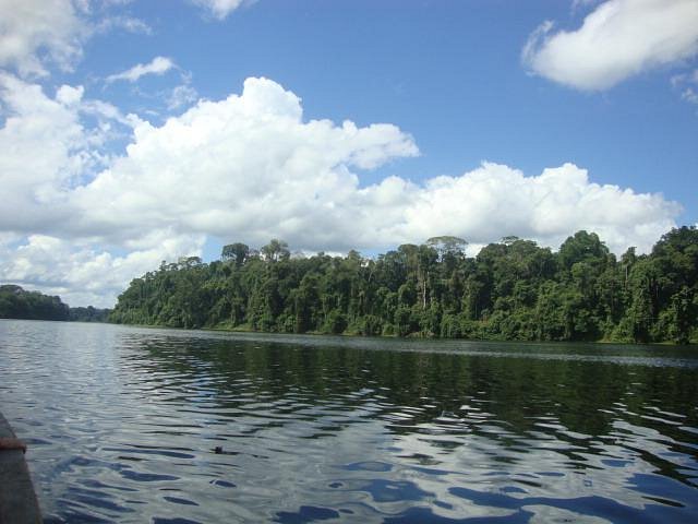 Amazônia Peruana Rattle Direções - Meio - Individualmente