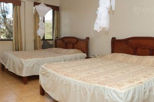 Phòng & Phòng Suite