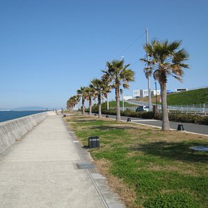 ホテル周辺の海岸沿い散歩コース