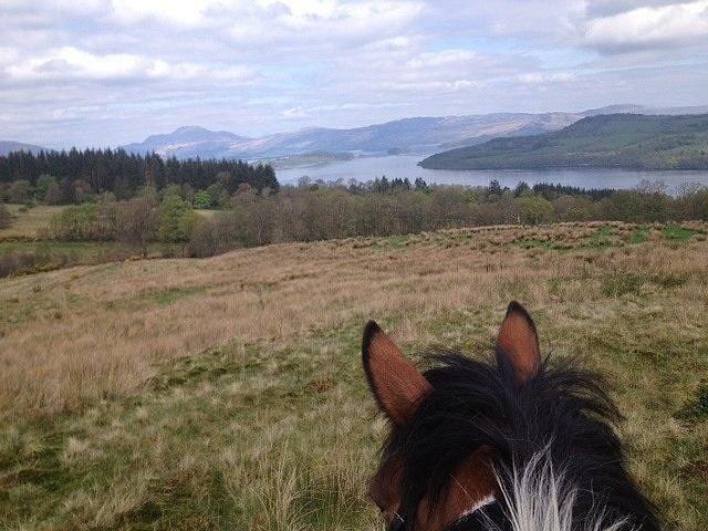 Pony Trekking.