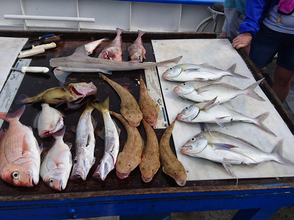 Lakes Entrance - Snapper Fishing Tackle