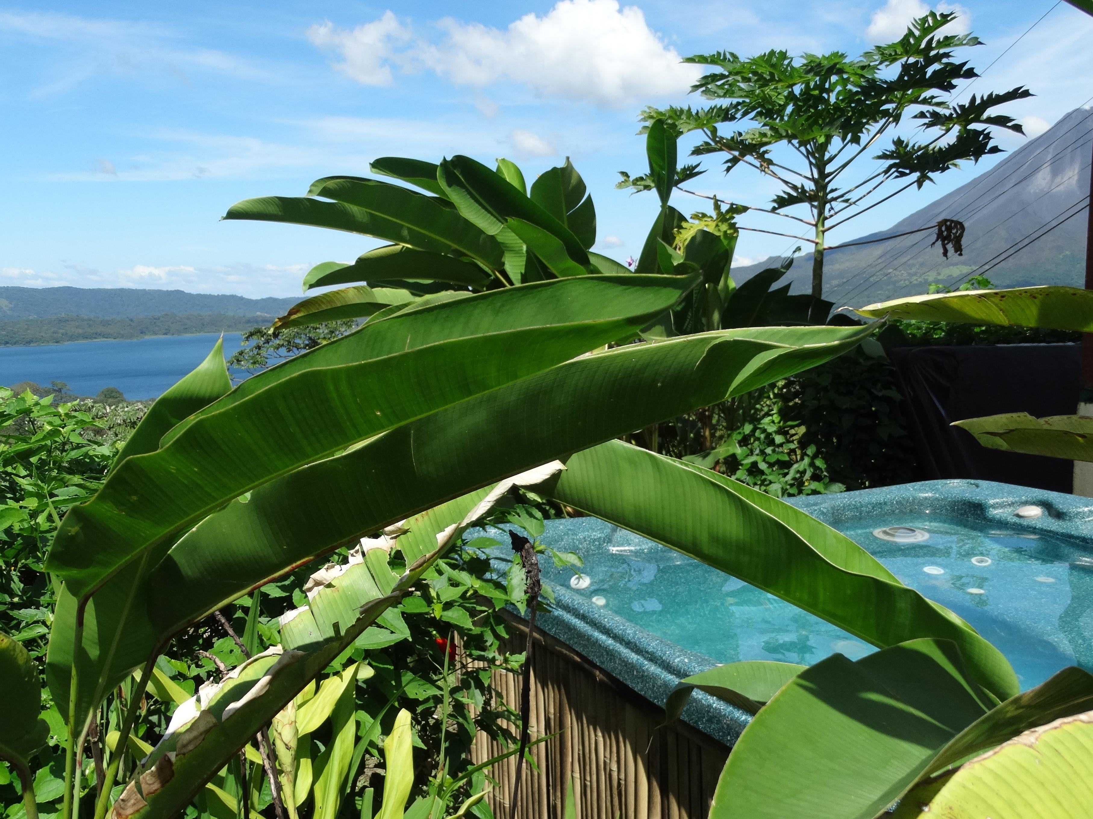 Essence Arenal Hotel Biofarm Spa UPDATED 2024 Prices Reviews