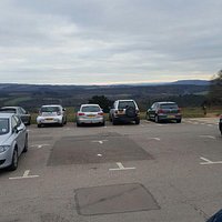 Newlands Corner