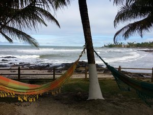Pool & Beach