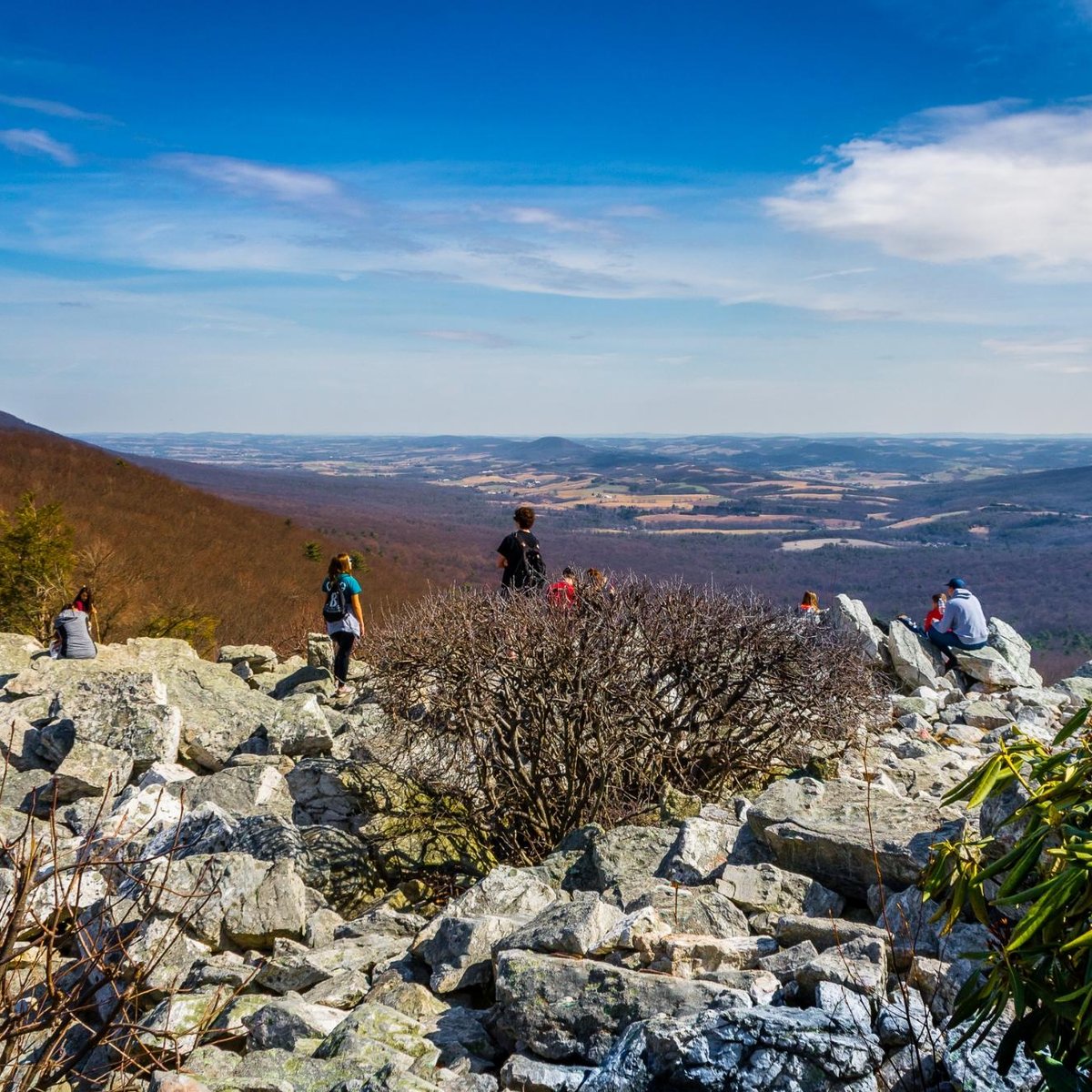 Hawk Mountain Sanctuary - All You Need to Know BEFORE You Go (2025)