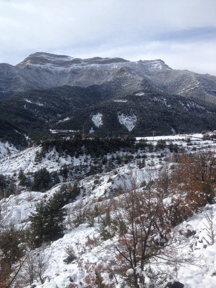 Imagen 7 de Camping El Jabalí Blanco