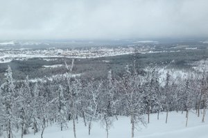 Svit och rum