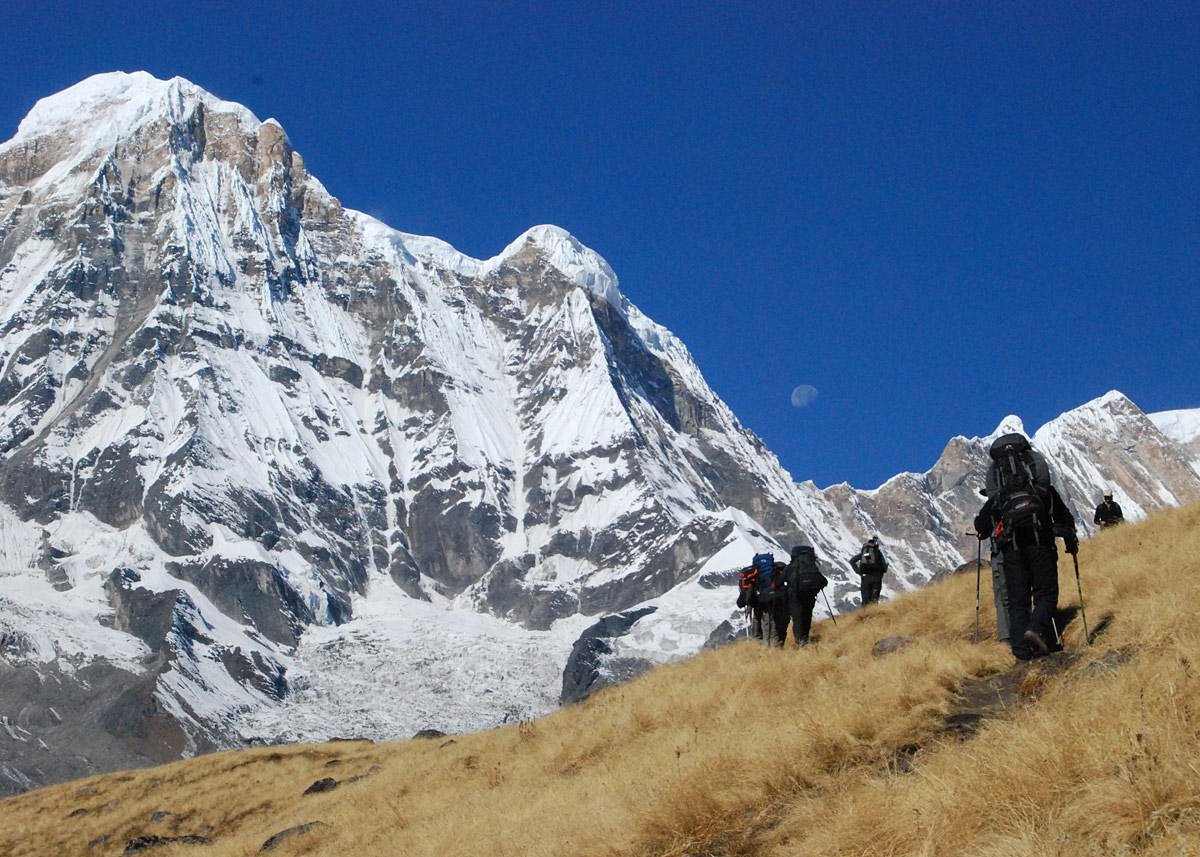 nepal treks and tours reviews
