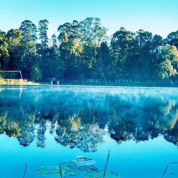 Berijam Lake Kodaikanal 2022 Lo Que Se Debe Saber Antes De Viajar Tripadvisor