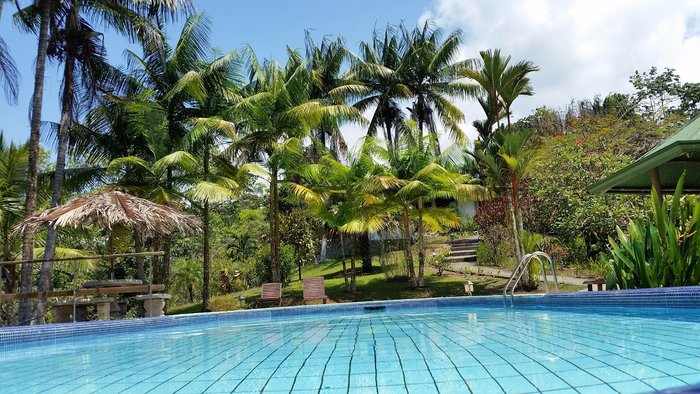 Finca Bavaria Pool: Pictures & Reviews - Tripadvisor