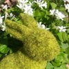 TheInquiringBunny