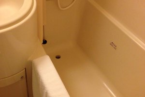 旅行者の写真