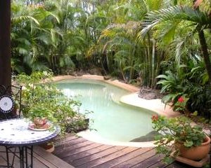Pool and deck for guests
