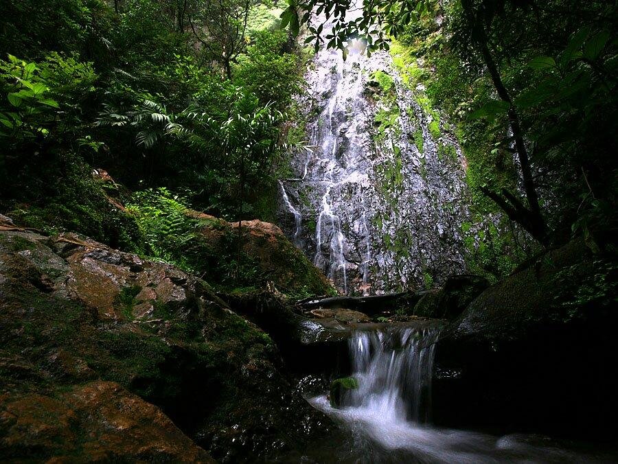 PARQUE NACIONAL LA TIGRA (Tegucigalpa) - Qué SABER antes de ir