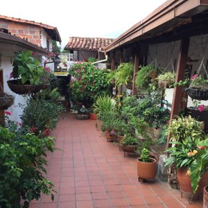 Casa Posada don Chepe