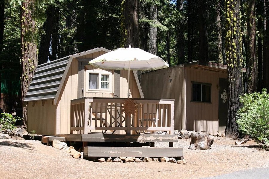Escape to Golden Pines: Your Northern California RV Adventure Awaits!