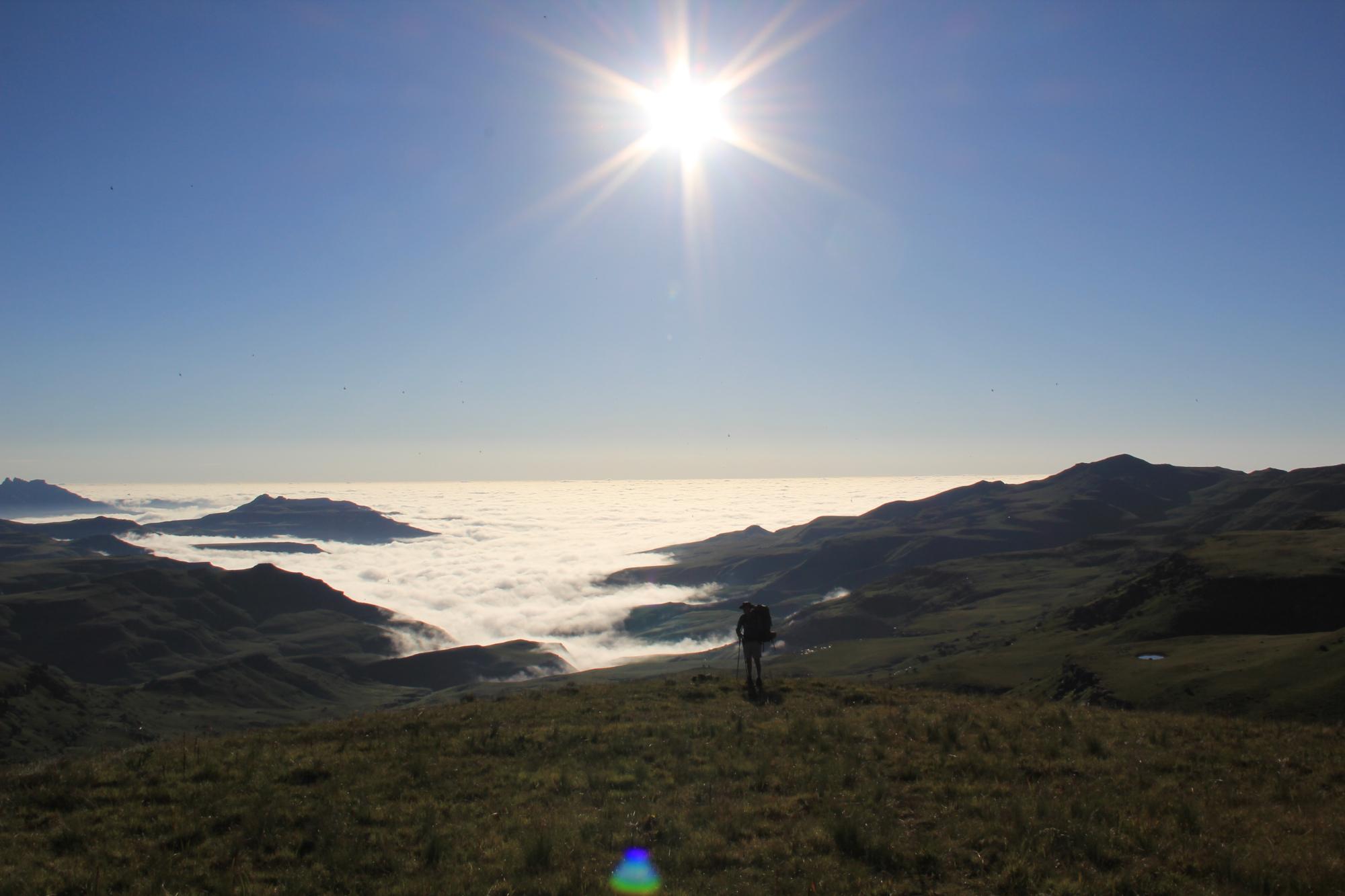 Uncover the Best-Kept Secrets of the Southern Backroads
