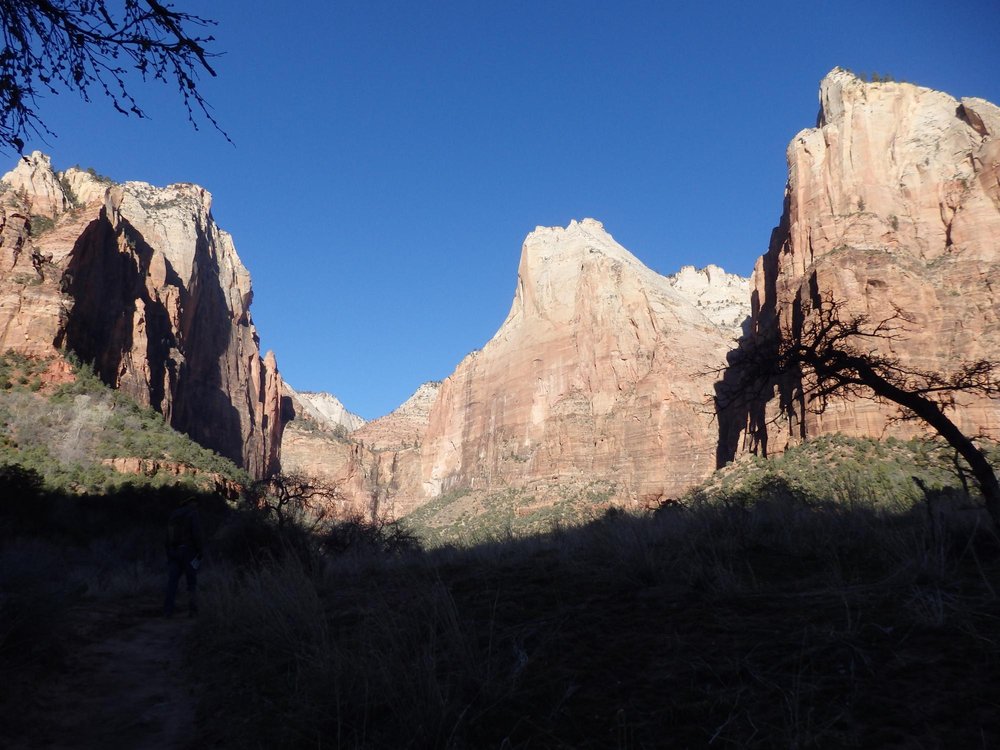 THE 10 BEST Zion National Park Hiking Trails (2024) - Tripadvisor