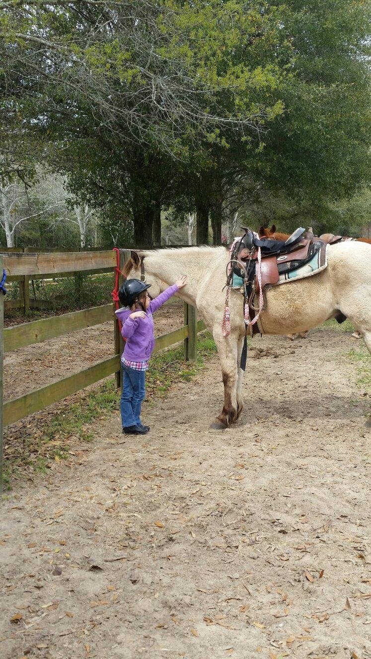 HORSE RIDES OF PENSACOLA Ce qu'il faut savoir pour votre visite