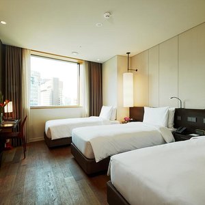 Deluxe Room - Triple