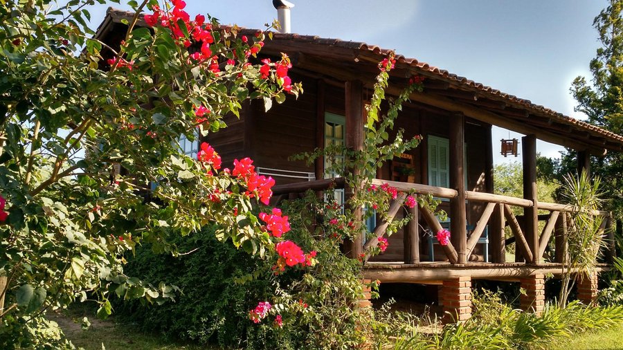 Cabana Alfazema