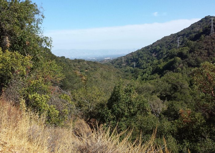 from the top of the hill, upper wildcat canyon