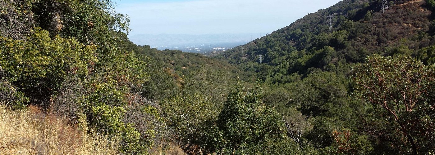 from the top of the hill, upper wildcat canyon