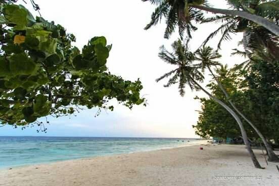 WWW.gobylodge.com 
A.Dh.Mahibadhoo. Maldives 
009607787073