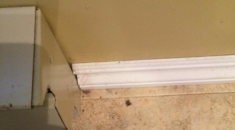 stains? Mildew? Mould?