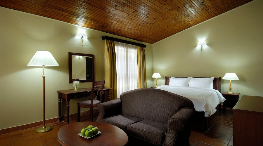 Deluxe Room - Living Room Interior