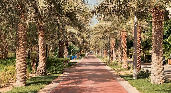 unforgettable experiences: what to do and places to visit on palm jumeirah 12