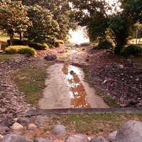 The international garden