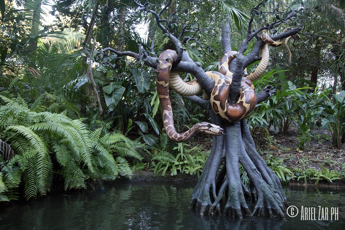 jungle cruise wdw